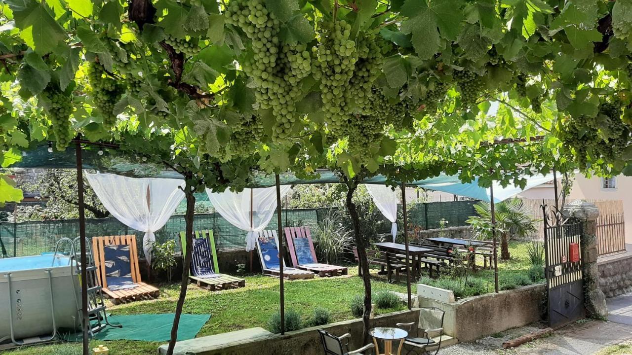 Residence Muzica Bed And Breakfast Komen 外观 照片